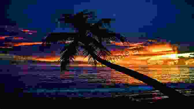 A Breathtaking Sunset Over The Caribbean Sea, With Silhouettes Of Palm Trees In The Foreground Bluewater Jailbird: The Tenth Novel In The Caribbean Mystery And Adventure (Bluewater Thrillers 10)