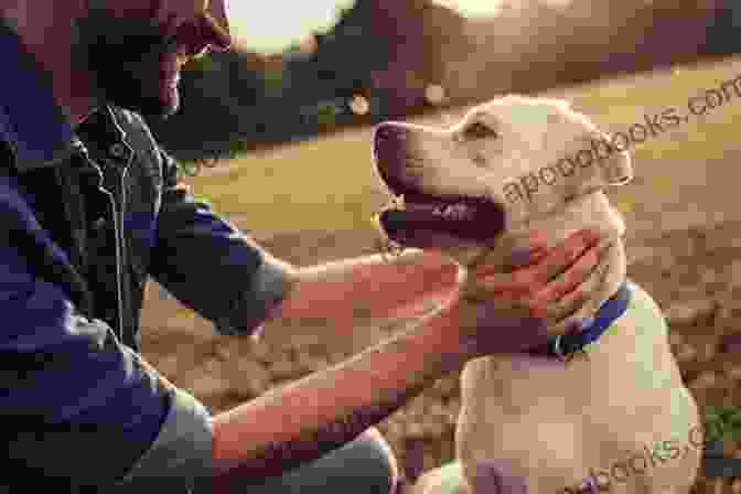 A Dog Looking Up At Its Owner With A Loving Expression Short Leash: A Memoir Of Dog Walking And Deliverance