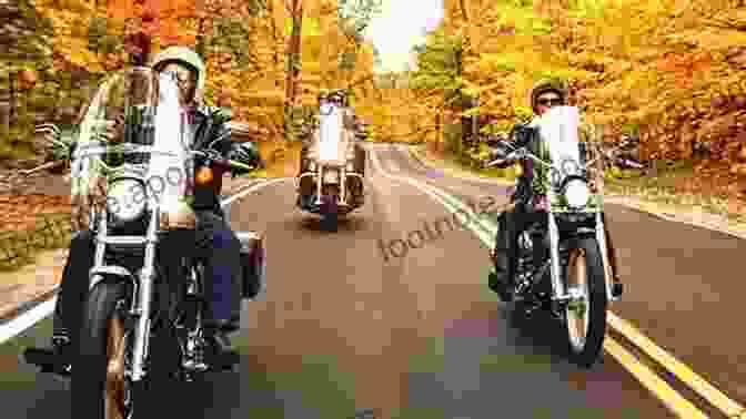 A Group Of Motorcycles Riding Through A Lush Green Forest Motorcycle Road Trips (Vol 36) Road Trips III IV Compilation On Sale Now : More Cruisin America Cruisin Beyond America (Backroad Bob S Motorcycle Road Trips)