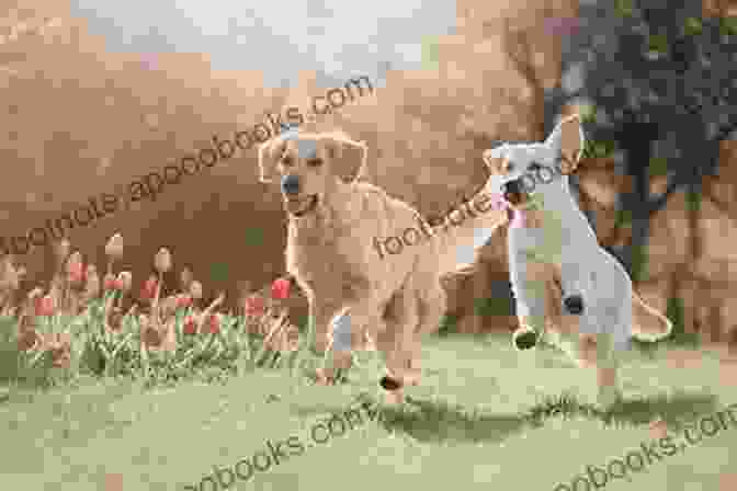 A Happy Dog Running Through A Field, Symbolizing The Joy And Well Being That Dogs Bring To Our Lives A Dog S Way : How Dogs Make Us Better People