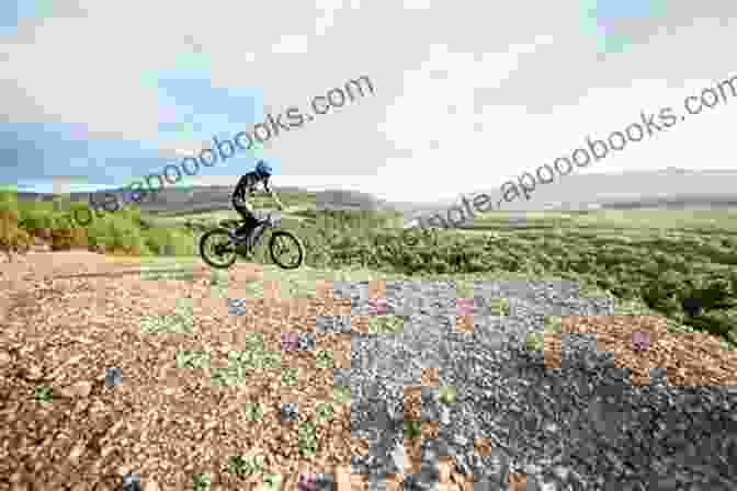 A Panoramic View Of A Cyclist Riding Through A Picturesque Landscape In Central Ontario, With Rolling Hills, Forests, And A Lake In The Background. Cycling In Central Ontario Elaine Bertolotti