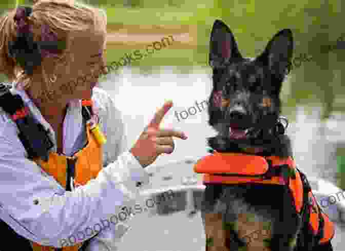 A Search And Rescue Dog In Training Search And Rescue Dogs: Training The K 9 Hero