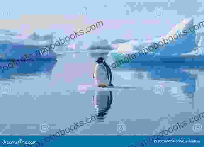 A Solitary Penguin Stands On A Desolate Ice Floe, Its Head Bowed In Sorrow. The Sobbing School (Penguin Poets)