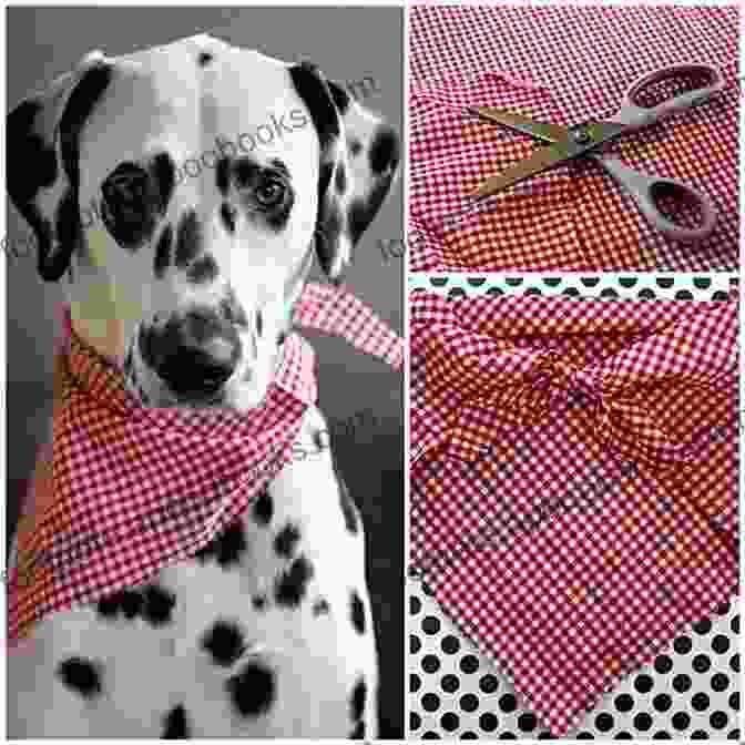 An Adorable Dalmatian Sporting A Polka Dot Bandana And Bow Tie Dog Sweater Crochet Patterns: Cute And Stunning Pattern For Your Lovely Pets