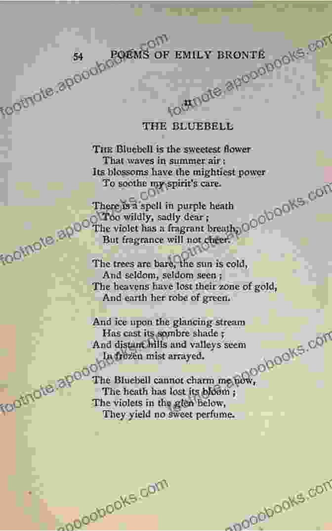 Bluebells Poetry From The Soul Book Cover Bluebells: Poetry From The Soul