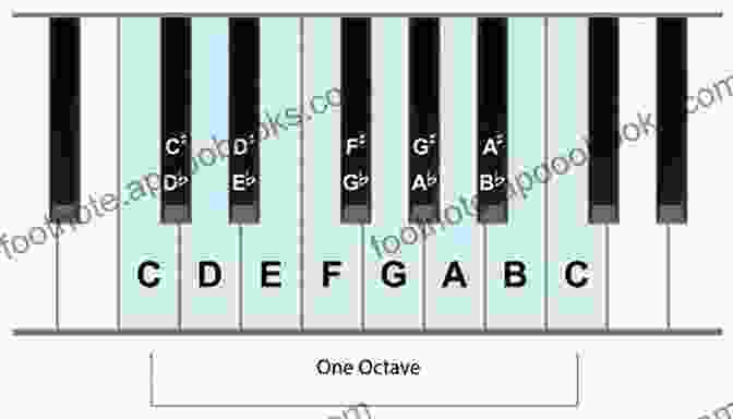 Diagram Of A Keyboard Showing The White And Black Keys, Octaves, And Note Names KEYBOARD LESSONS: An Essential Guide For Beginners To Learn The Realms Of Keyboard Lessons From A Z