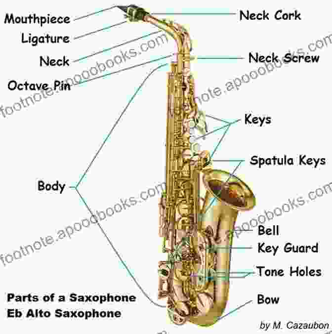 Diagram Of The Main Parts Of A Saxophone 1st PRINCIPLE Of SAXOPHONE: Do You Know Saxophone?