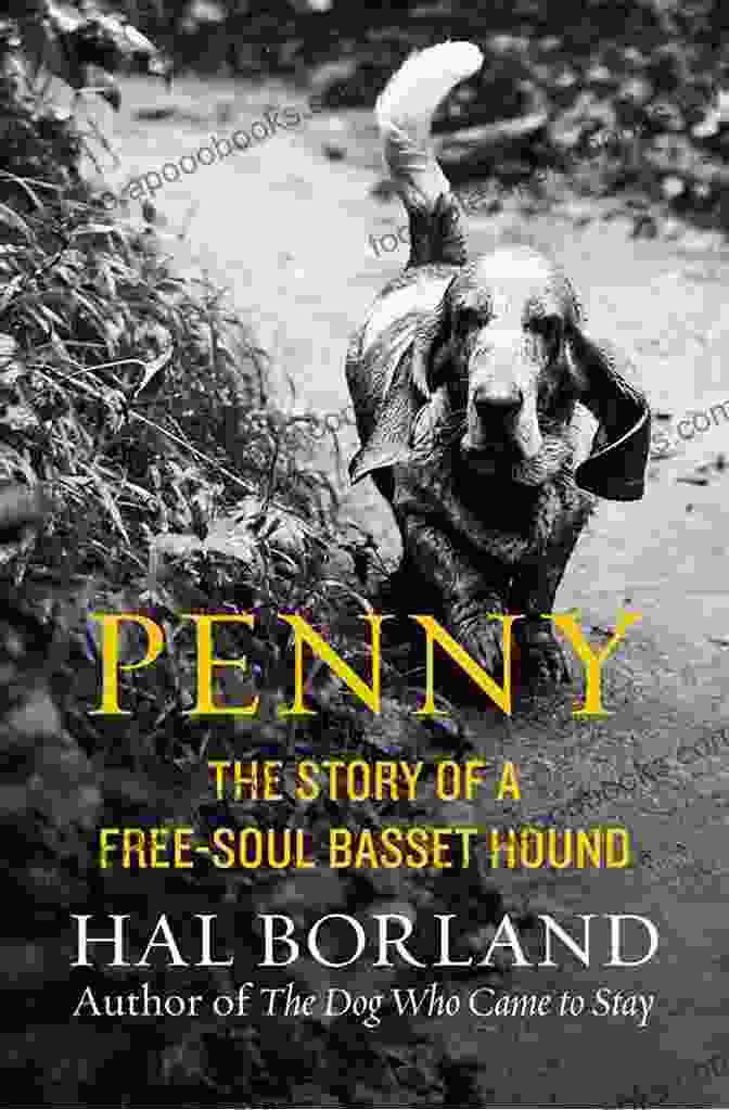 Free Soul, A Basset Hound With A Heart Of Gold Penny: The Story Of A Free Soul Basset Hound