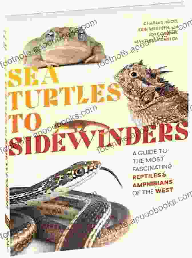 Guide To The Most Fascinating Reptiles And Amphibians Of The West Sea Turtles To Sidewinders: A Guide To The Most Fascinating Reptiles And Amphibians Of The West