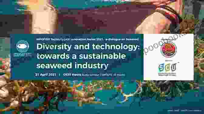 Image Of A Diverse Seaweed Community Seaweed Ecology And Physiology Catriona L Hurd