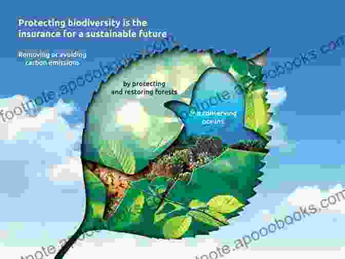 Image Showcasing The Interconnectedness Of Forest Health And Biodiversity, Emphasizing The Importance Of Sustainable Practices Living In The Appalachian Forest: True Tales Of Sustainable Forestry