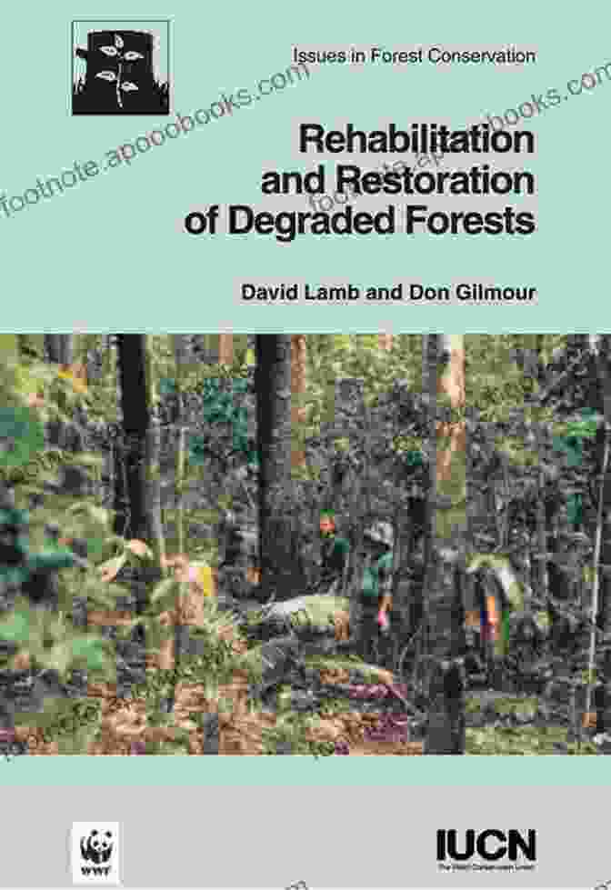 Image Showcasing The Transformative Effects Of Reforestation And Restoration Initiatives In Rejuvenating Degraded Forests Living In The Appalachian Forest: True Tales Of Sustainable Forestry