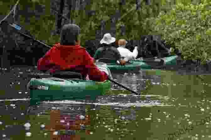 Kayaking Amidst The Pristine Waters Of Franklin County Exploring Franklin County Florida The Way Florida Use To Be