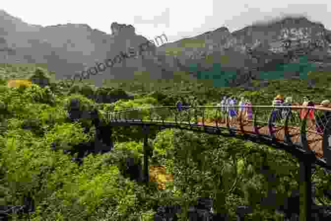 Kirstenbosch National Botanical Garden, Cape Town 20 EXCITING THINGS TO DO IN CAPETOWN FOR LESS THAN $20