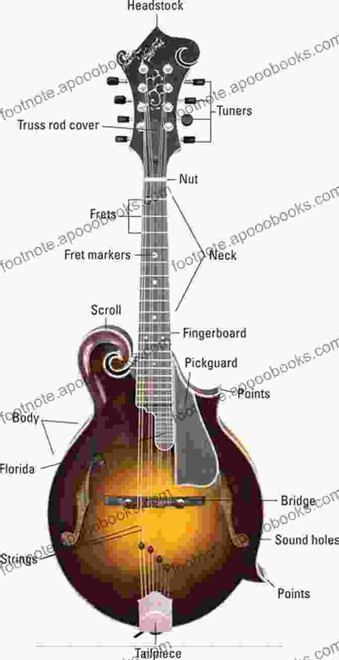 Mandolin Design And Anatomy Just For Fun Children S Songs For Mandolin: 59 Children S Classics