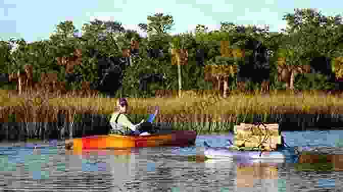 Paddlers Glide Through Serene Waters Verde River Elegy: A Paddling Journey To The River S End