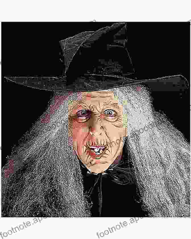 Professor Amaya, An Elderly Witch With Long Silver Hair And Twinkling Eyes. The Secret Witch (The Coven: Academy Magic 5)