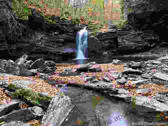 Seneca Creek Falls Tumbling Down A Narrow Gorge Hiking Waterfalls In West Virginia: A Guide To The State S Best Waterfall Hikes