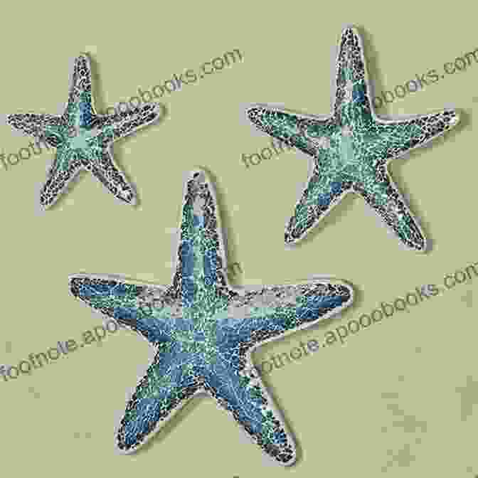 Starfish Wall Hanging With Intricate Embroidery And Appliquéd Details Nautical Quilts: 12 Stitched And Quilted Projects Celebrating The Sea