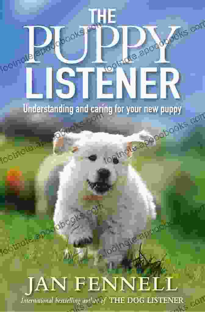 The Puppy Listener Book Cover, Featuring A Photo Of A Playful Puppy Listening Intently To A Woman's Instructions. The Puppy Listener Jan Fennell