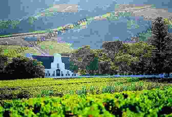 Wine Tour, Cape Town 20 EXCITING THINGS TO DO IN CAPETOWN FOR LESS THAN $20