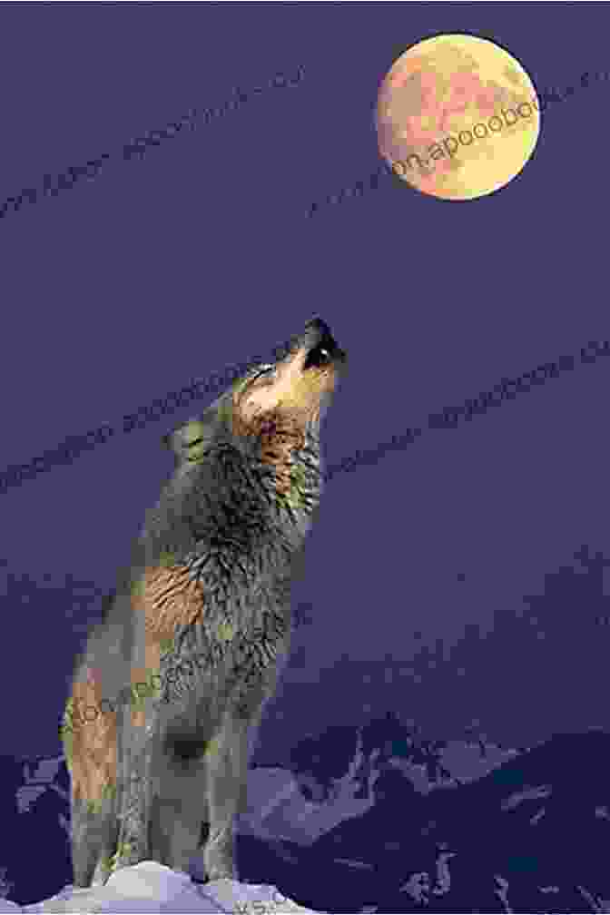 Wolf Howling At The Moon A Howl In The Night (The Howl 1)