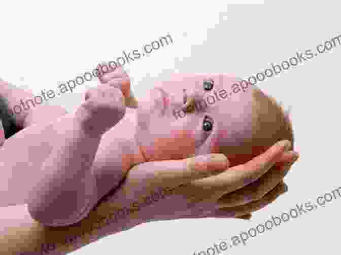 Woman Holding A Newborn Baby, Symbolizing The Poem Another Birth And Other Poems