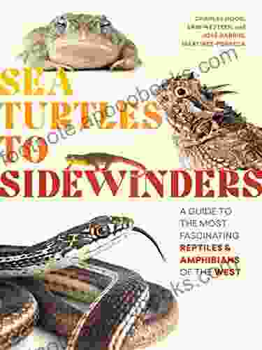 Sea Turtles to Sidewinders: A Guide to the Most Fascinating Reptiles and Amphibians of the West