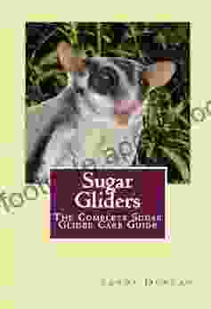 Sugar Gliders: The Complete Sugar Glider Care Guide