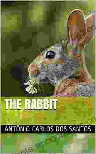 The rabbit (The cutest pets on the planet collection 6)