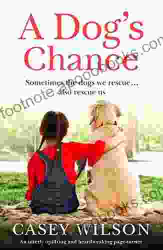 A Dog s Chance: An utterly uplifting and heartbreaking page turner (Second Chance 2)