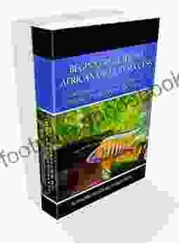 Beginners Guide to African Cichlid Success