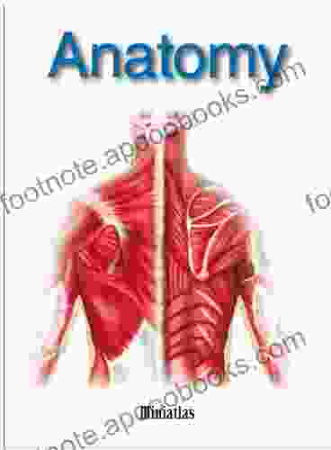 Anatomy Miniatlas Caroline Braun