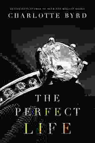 The Perfect Life (The Perfect Stranger)